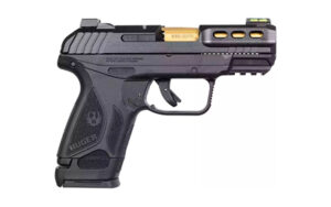 Ruger, Security-380, Single Action Only, Semi-automatic, Polymer Frame Pistol, Compact, 380 ACP, 3.42" Gold Barrel
